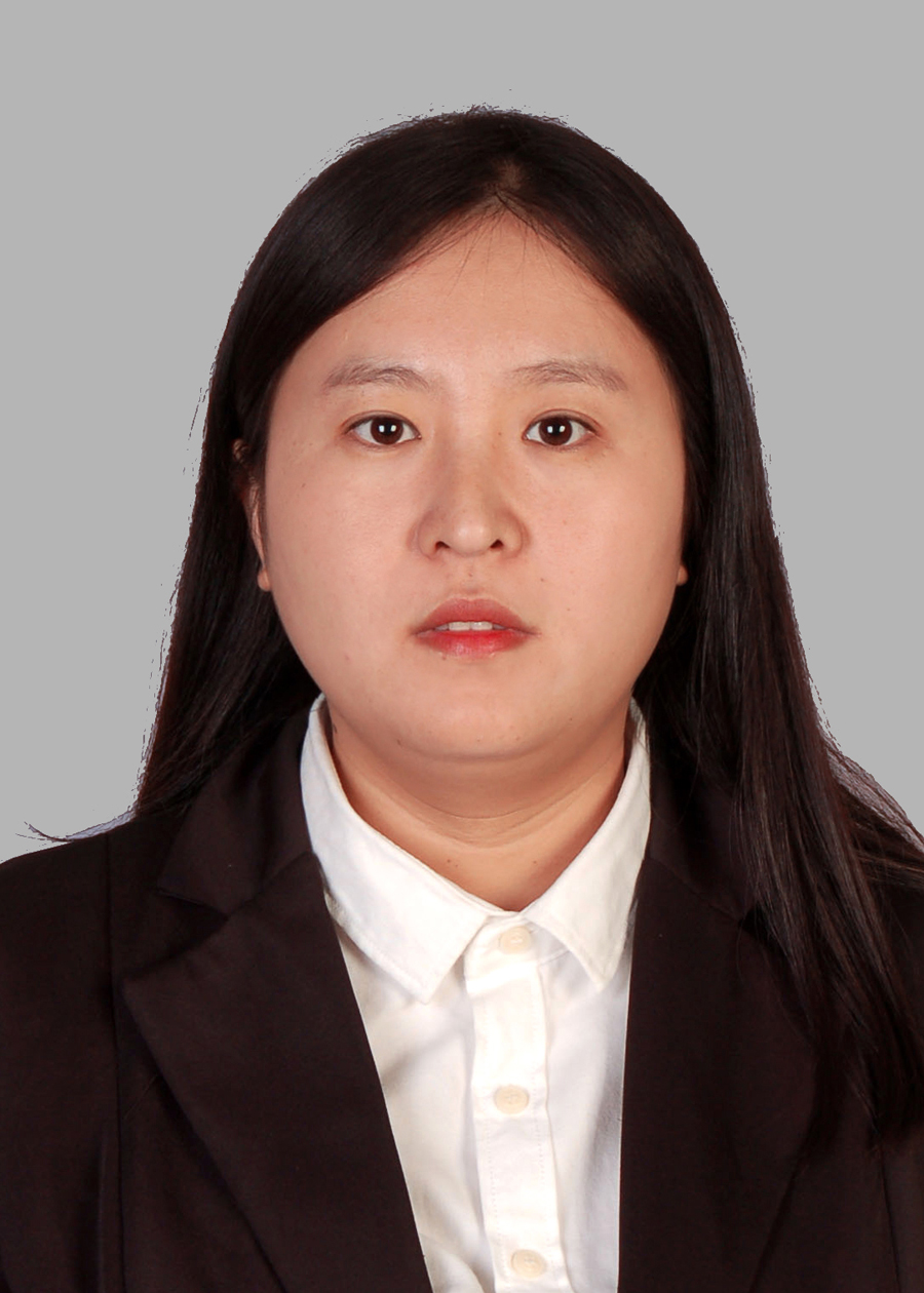 王晓阳 律师 河北邯郸 公司与并购团队 北京德和衡律师事务所 电话