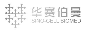 华赛伯曼.jpg